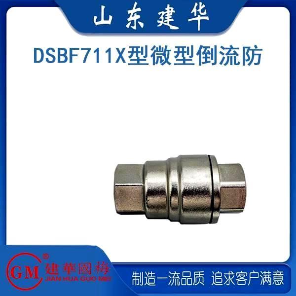 DSBF711X型微型倒流防止器 DN15~DN50